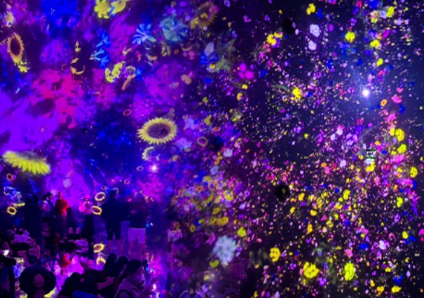 太金國際旅行社的旅遊行程介紹圖片